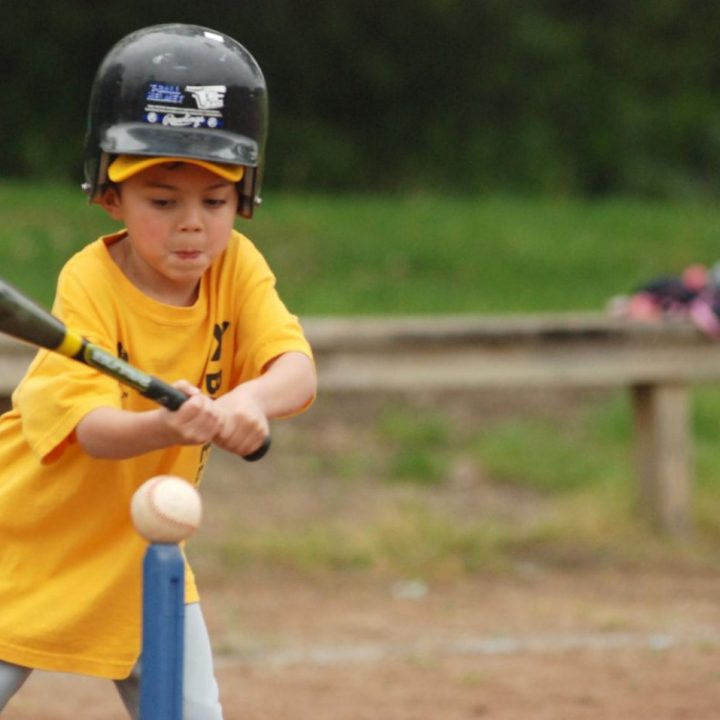 Summer T-ball